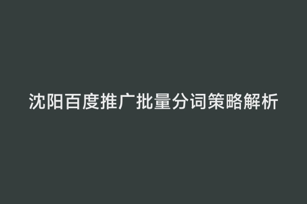 沈阳百度推广批量分词策略解析