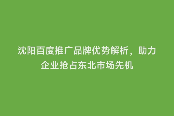 沈阳百度推广品牌优势解析，助力企业抢占东北市场先机