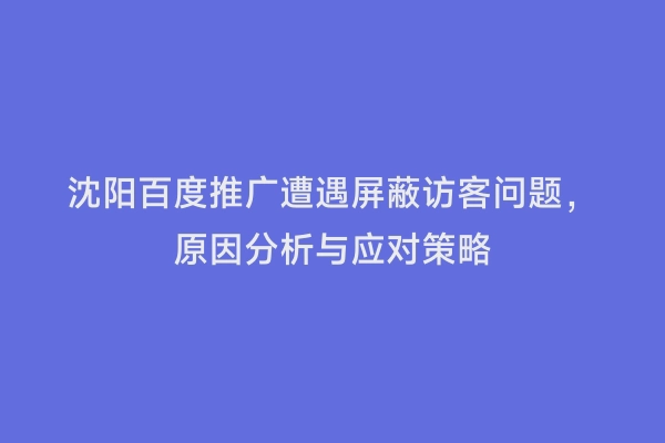 沈阳百度推广遭遇屏蔽访客问题，原因分析与应对策略