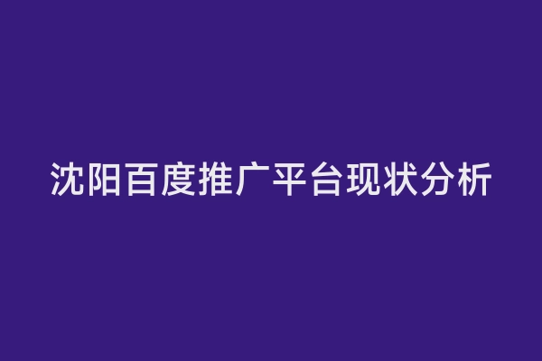沈阳百度推广平台现状分析