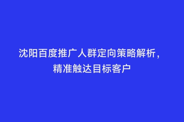 沈阳百度推广人群定向策略解析，精准触达目标客户