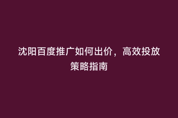 沈阳百度推广如何出价，高效投放策略指南