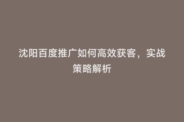 沈阳百度推广如何高效获客，实战策略解析