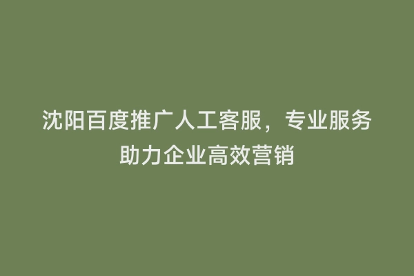 沈阳百度推广人工客服，专业服务助力企业高效营销