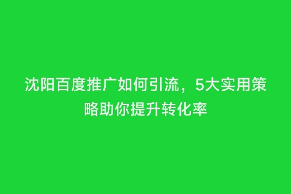 沈阳百度推广如何引流，5大实用策略助你提升转化率