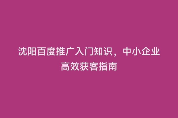 沈阳百度推广入门知识，中小企业高效获客指南