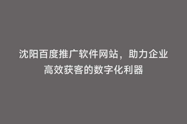 沈阳百度推广软件网站，助力企业高效获客的数字化利器