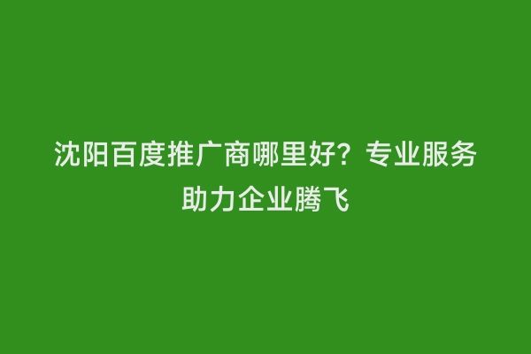 沈阳百度推广商哪里好？专业服务助力企业腾飞