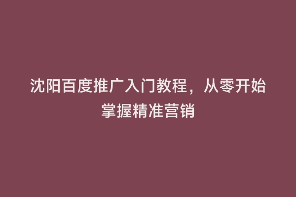 沈阳百度推广入门教程，从零开始掌握精准营销