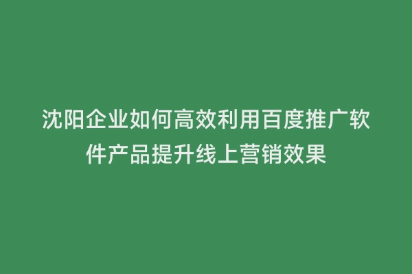 沈阳企业如何高效利用百度推广软件产品提升线上营销效果