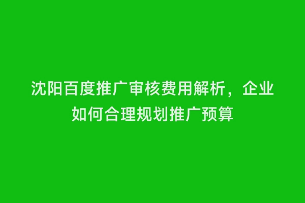 沈阳百度推广审核费用解析，企业如何合理规划推广预算