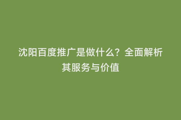 沈阳百度推广是做什么？全面解析其服务与价值