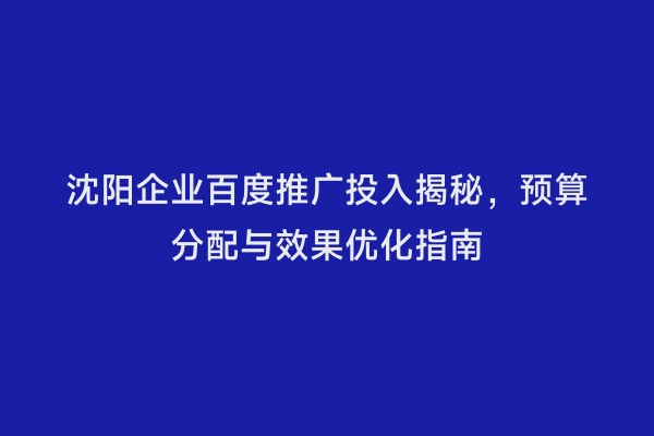 沈阳企业百度推广投入揭秘，预算分配与效果优化指南