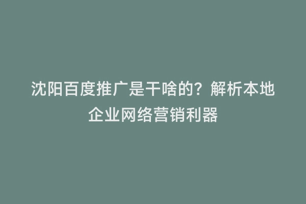 沈阳百度推广是干啥的？解析本地企业网络营销利器