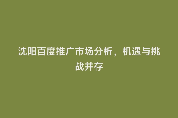 沈阳百度推广市场分析，机遇与挑战并存