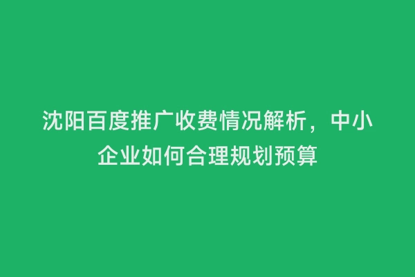 沈阳百度推广收费情况解析，中小企业如何合理规划预算