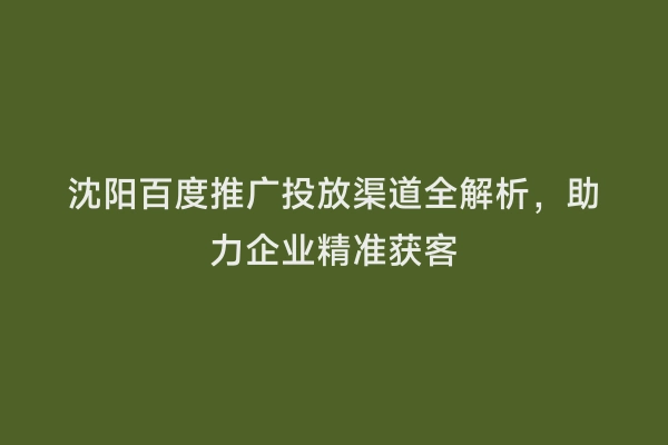 沈阳百度推广投放渠道全解析，助力企业精准获客