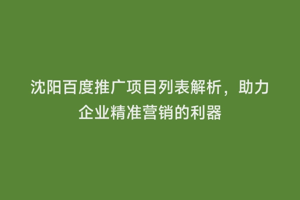 沈阳百度推广项目列表解析，助力企业精准营销的利器