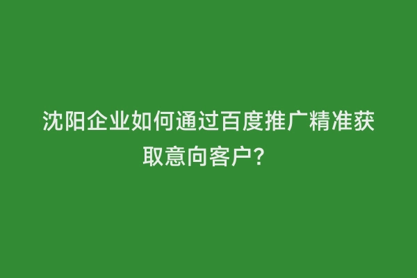 沈阳企业如何通过百度推广精准获取意向客户？