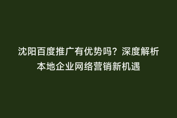 沈阳百度推广有优势吗？深度解析本地企业网络营销新机遇