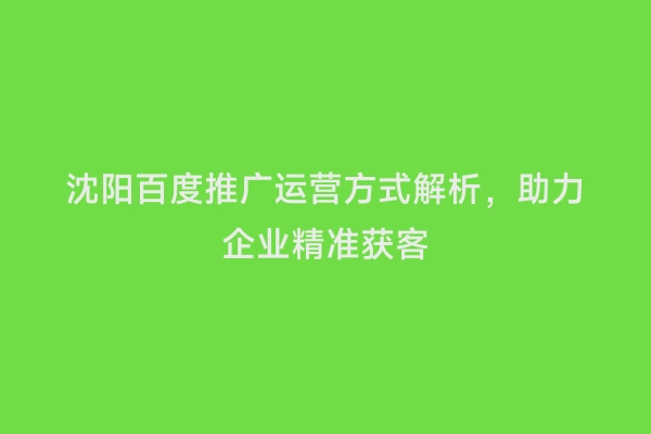 沈阳百度推广运营方式解析，助力企业精准获客