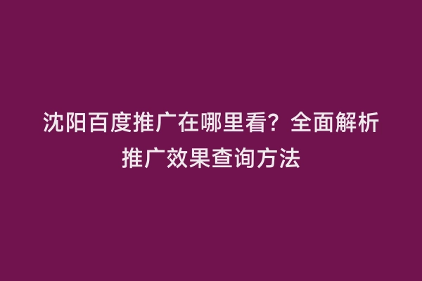 沈阳百度推广在哪里看？全面解析推广效果查询方法