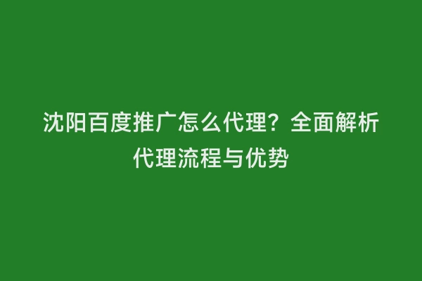沈阳百度推广怎么代理？全面解析代理流程与优势