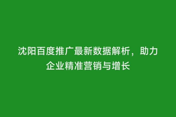 沈阳百度推广最新数据解析，助力企业精准营销与增长