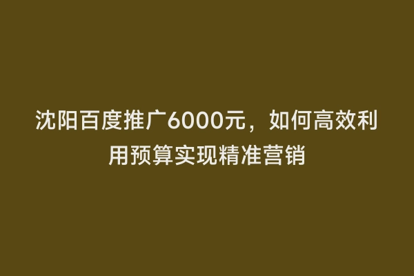 沈阳百度推广6000元，如何高效利用预算实现精准营销
