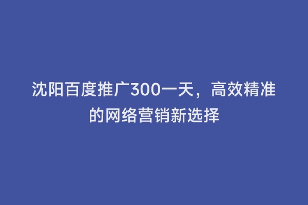 沈阳百度推广300一天，高效精准的网络营销新选择