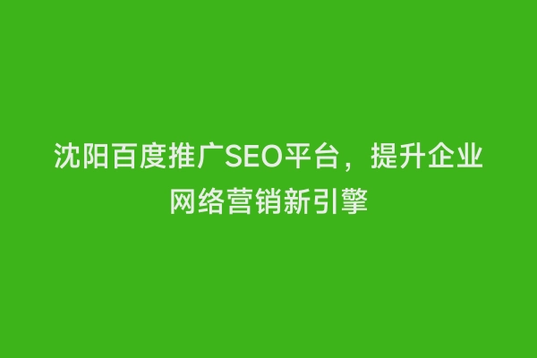 沈阳百度推广SEO平台，提升企业网络营销新引擎