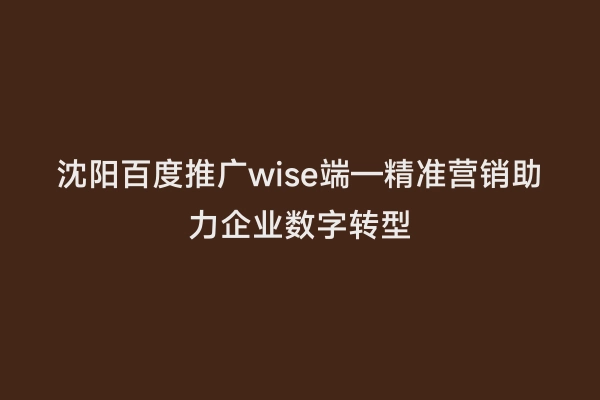 沈阳百度推广wise端—精准营销助力企业数字转型
