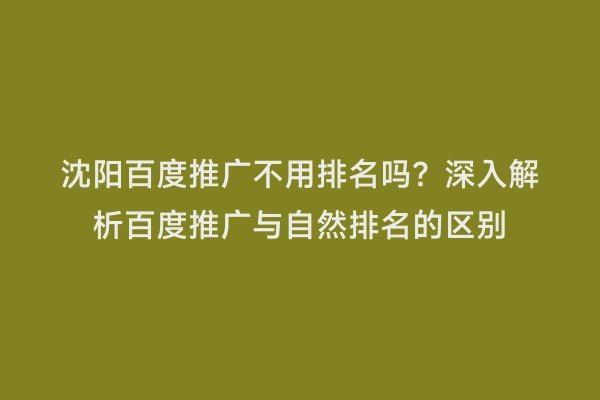 沈阳百度推广不用排名吗？深入解析百度推广与自然排名的区别