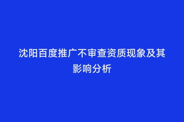 沈阳百度推广不审查资质现象及其影响分析