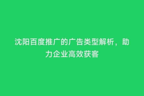 沈阳百度推广的广告类型解析，助力企业高效获客