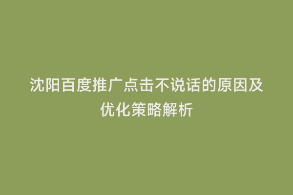沈阳百度推广点击不说话的原因及优化策略解析