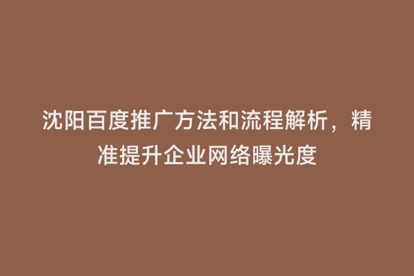 沈阳百度推广方法和流程解析，精准提升企业网络曝光度