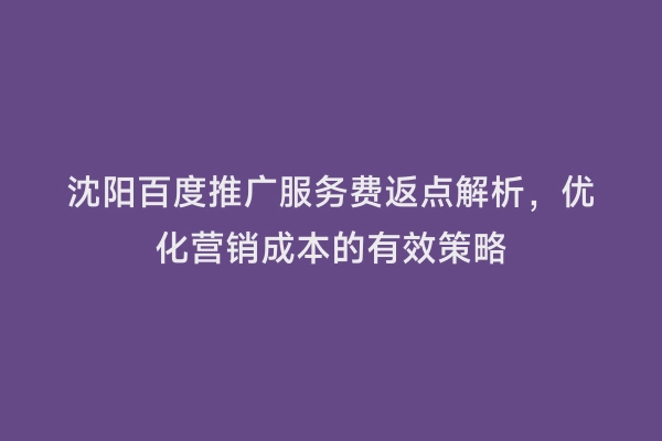 沈阳百度推广服务费返点解析，优化营销成本的有效策略
