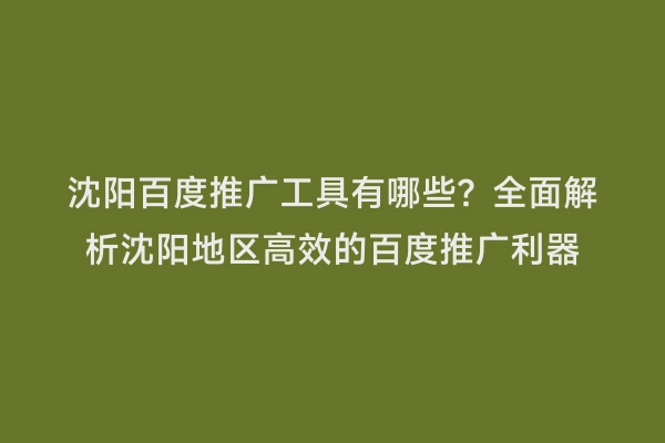 沈阳百度推广工具有哪些？全面解析沈阳地区高效的百度推广利器