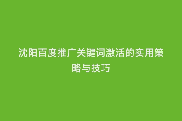 沈阳百度推广关键词激活的实用策略与技巧